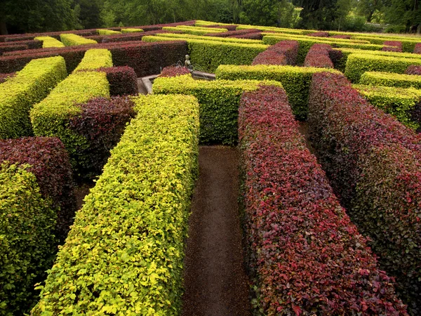 Garden labyrinth