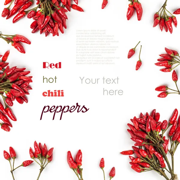 Background with Red hot chili peppers isolated