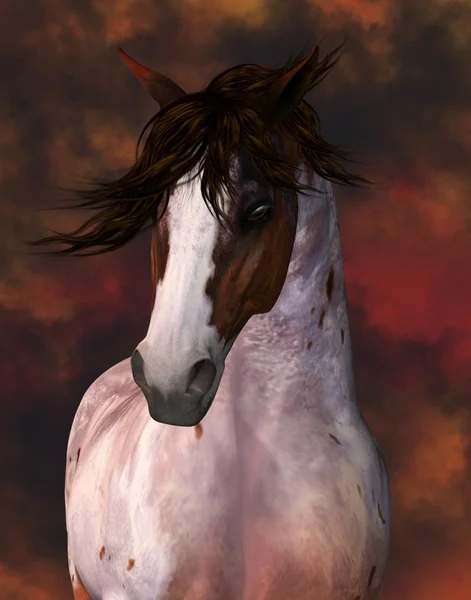 Brown And White Horse Illustration