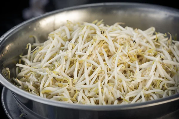 Bean sprouts in stainless bowl
