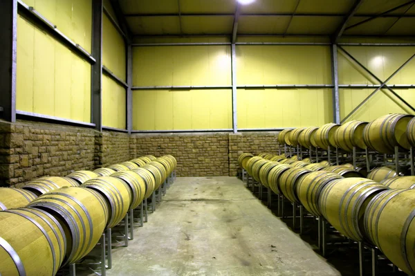 Rows of barrels in wine storage room