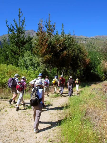 Group of hikers enters forest