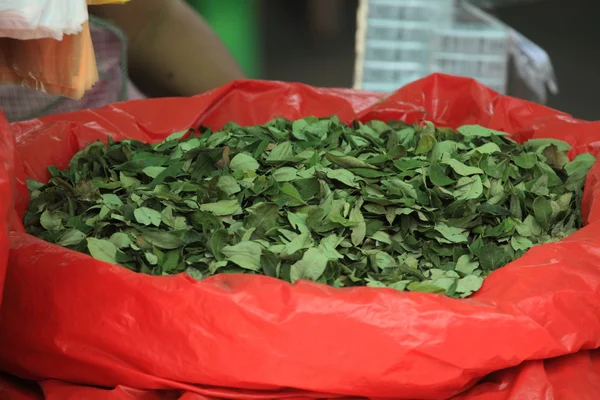 Coca Leafs