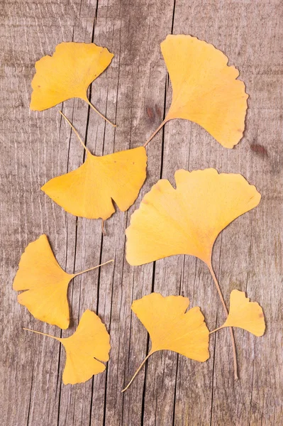 Ginkgo leaves over wooden surface