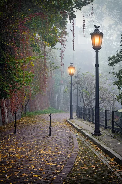 The mysterious alleyway in foggy autumn time with lighted lamps