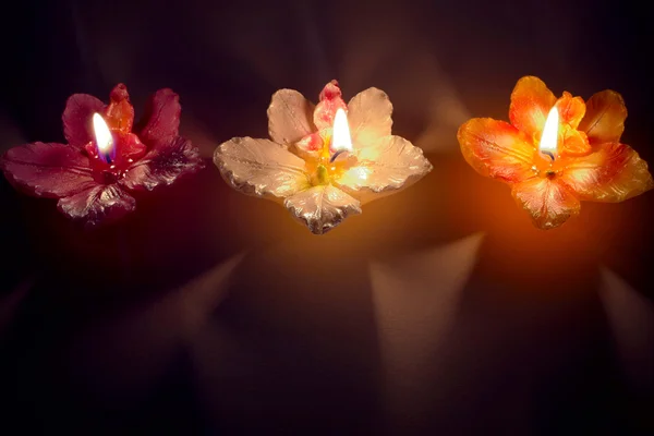 Three burning flower shape candles in a row