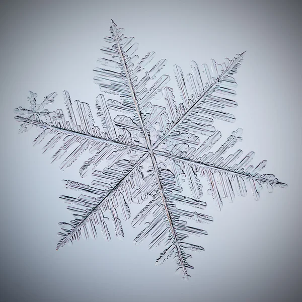 Real macro snowflake