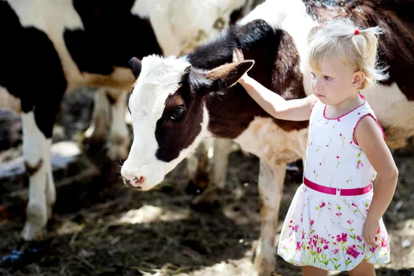 Girl and a cow