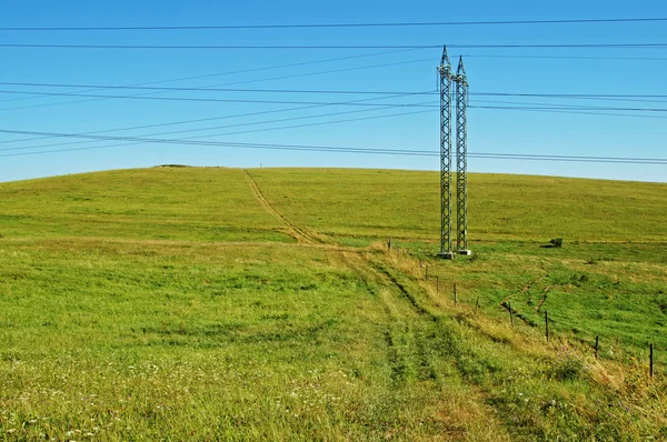 Meadow the poles and wires of high power lines