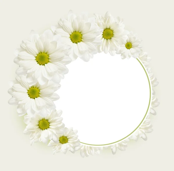 Background with daisy flowers