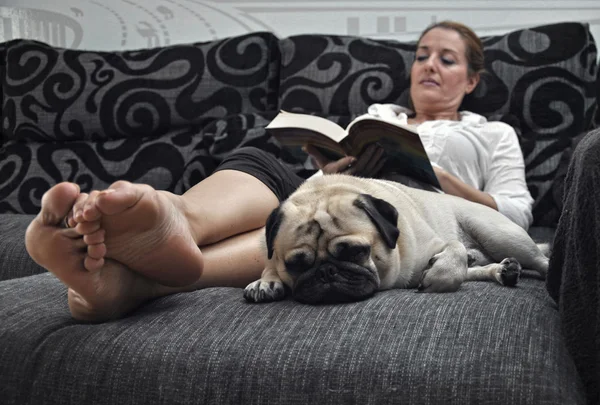 Woman reading on the sofa quietly i