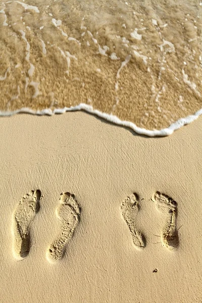 Two pairs footstep on the beach