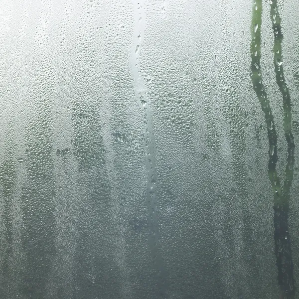 Rain in a window