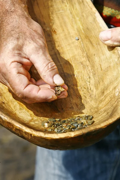 Gold Panning in the River with Old Wooden Pan