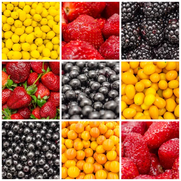 Colorful Fruit Background Collage