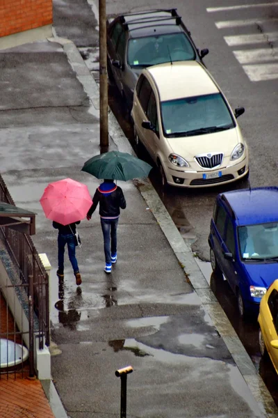 Walking in the rain. umbrella. pink. City. winter. outdoor. people