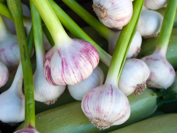 Close up of garlic on market stand — Stock Photo #25907437