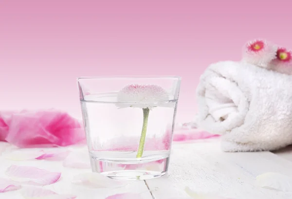 Daisy flower in glass of water and Rolled white towel ,pink, spa