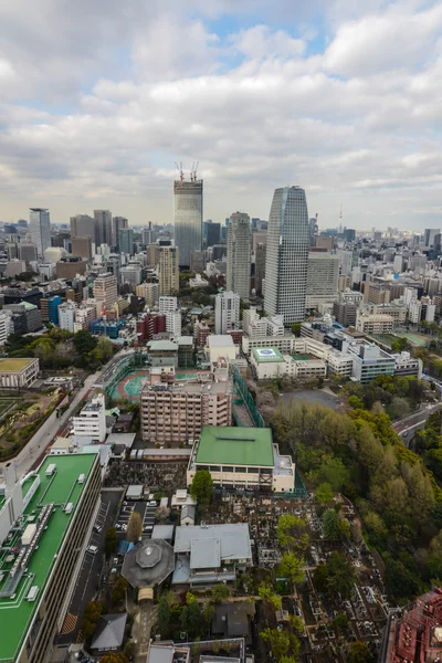 Tokyo view from the top, Japan