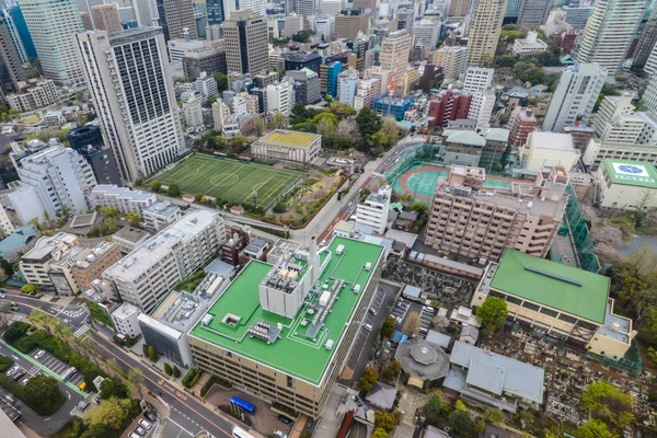 Tokyo view from the top, Japan