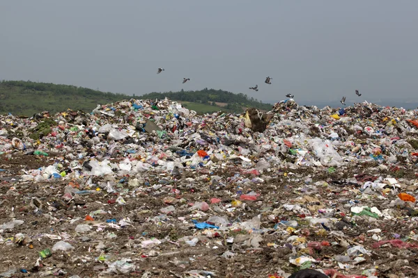 Landfill