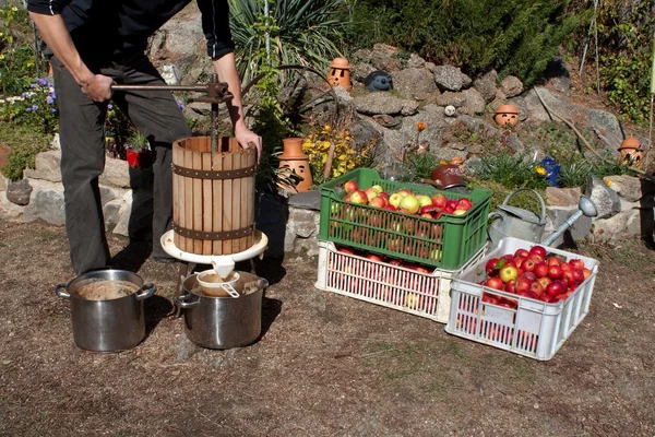 Man produces apple juice, homemade fruit pressing, Autumn in the garden