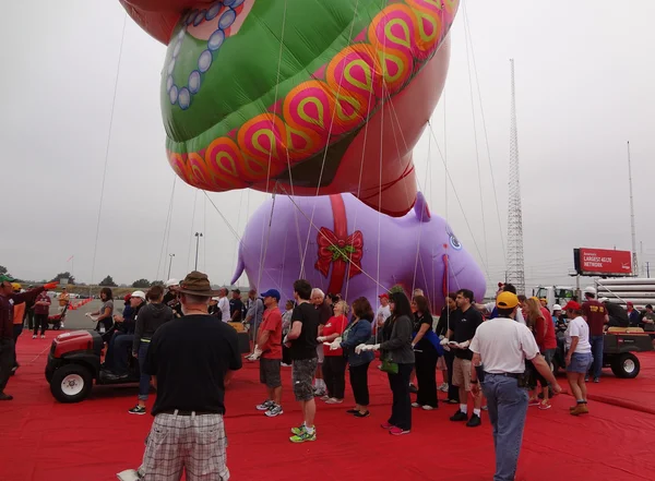 EAST RUTHERFORD, NJ, USA-OCT 5: The 2013 Macy\'s Thanksgiving Day Parade balloon handlers training session took place this year at MetLife Stadium. Seen are the Ms Petula Pig and Holiday Hippo balloons