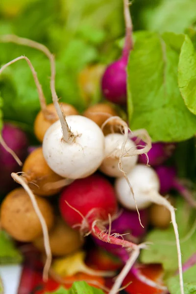 Organic radishes in fresh food market