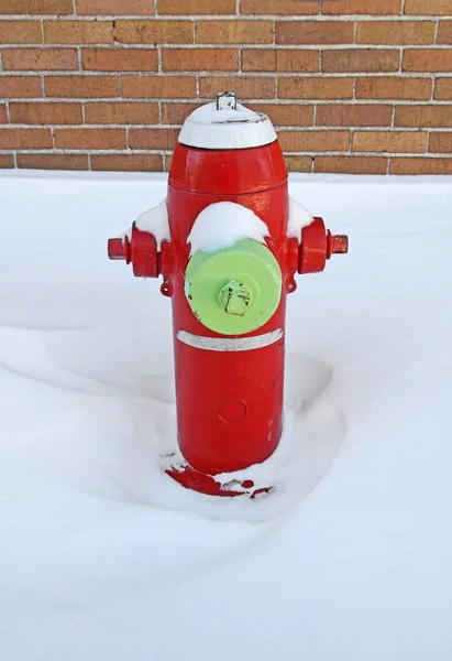 Red fire hydrant covered by snow