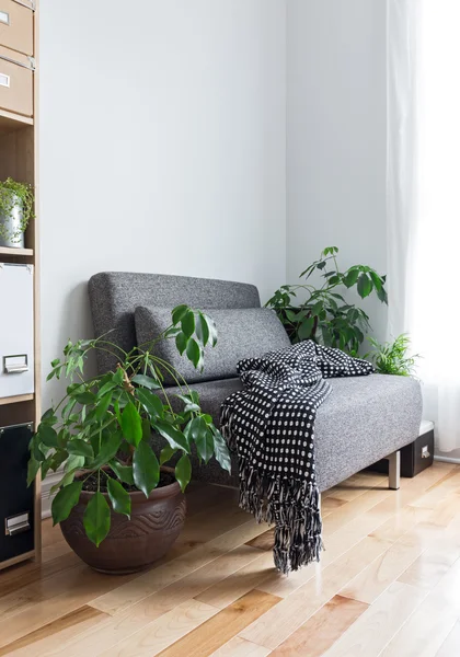 Living room with comfortable armchair and plants