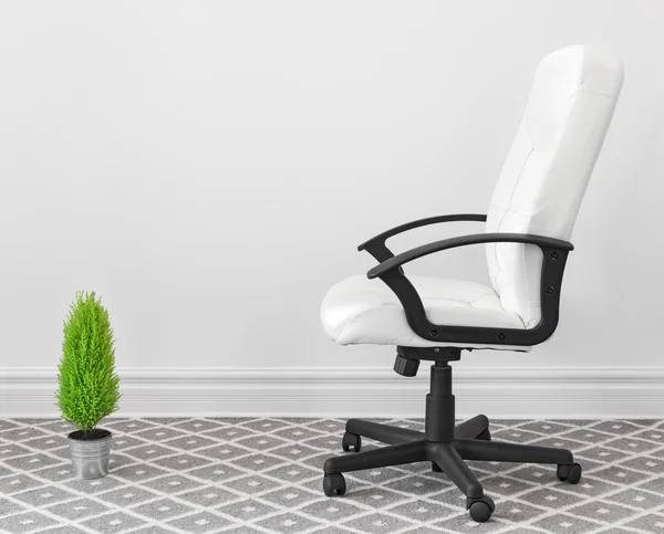 Computer chair and green plant