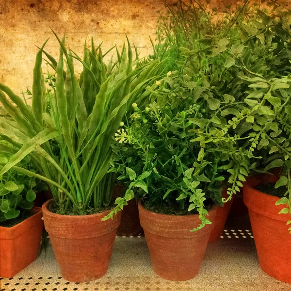 Green plants on rusty background