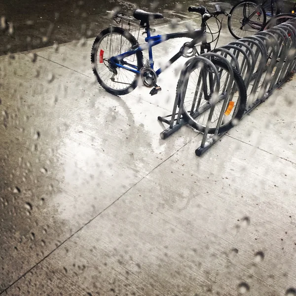 Bicycles under the rain