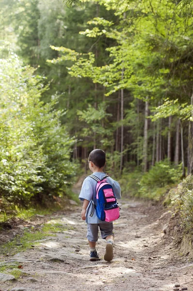 Child walking in forest