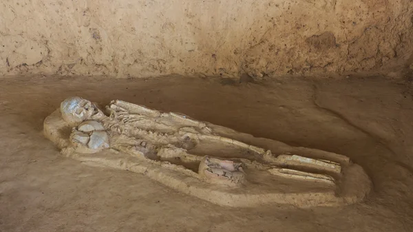 Grave Burial Skeleton Human Bones.