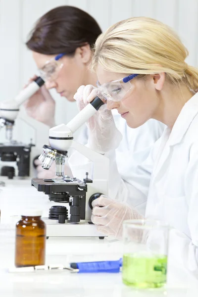 Female Scientific Research Team Using Microscopes in a Laborator