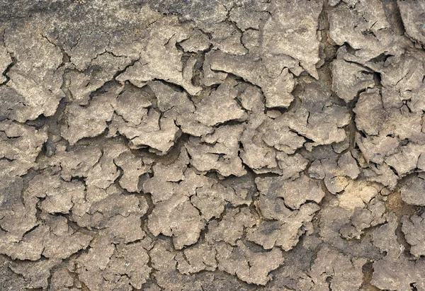 Cracked soil and sand