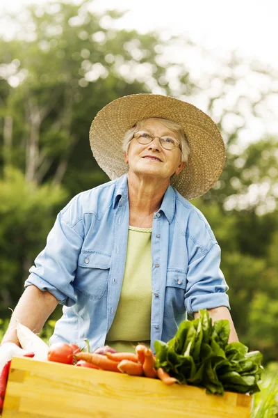 Senior woman holding box with vegetable