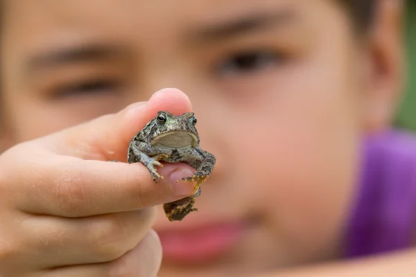 Child holding toad