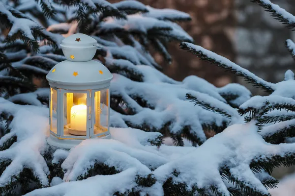 White lantern standing on fir branch in forest. Beautiful winter