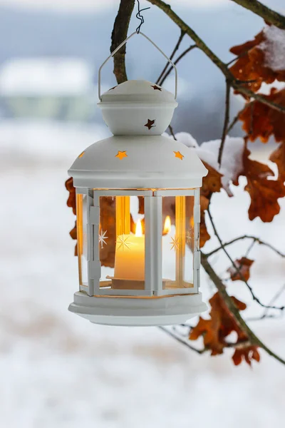 White lantern hanging on oak branch. Beautiful winter evening