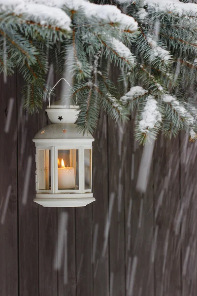 White lantern hanging on a fir branch.