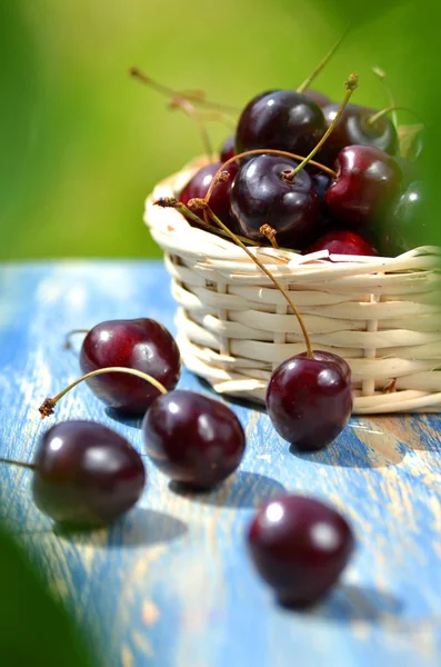 Closeup of ripe, fresh and sweet cherries in wicker basket on table in the garden