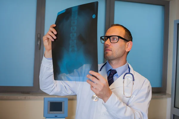 Doctor looking at x-ray picture