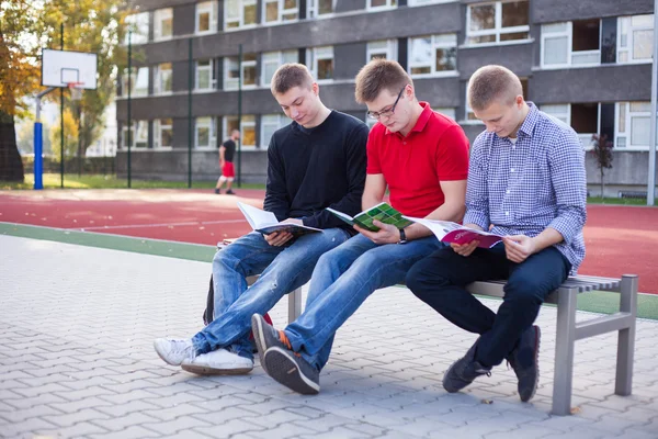 Students reading books