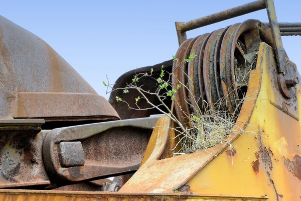 A plant growing on an old coal excavator in an open pit mining