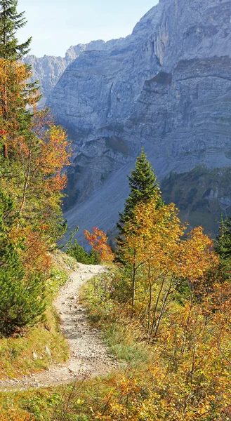 Pathway in the karwendel, autumnal austrian landscape