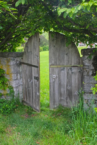 Arched garden door, framed with beech hedge