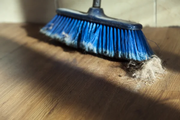 Broom, Dirt and Fur Ball on Parquet Floor