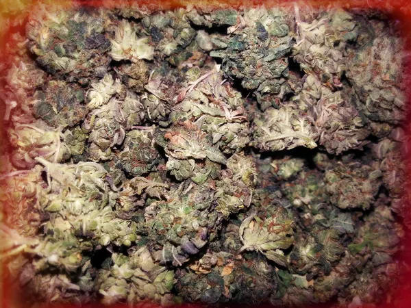 Marijuana Buds Background Lomo Light Leak